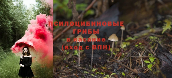 мяу мяу мука Баксан