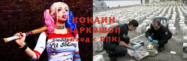 мяу мяу мука Баксан