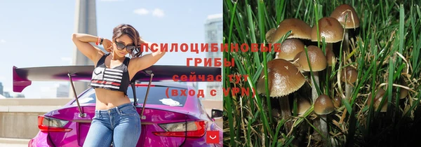 дурь Белокуриха