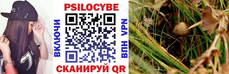 Галлюциногенные грибы мицелий  где продают   Новый Уренгой 