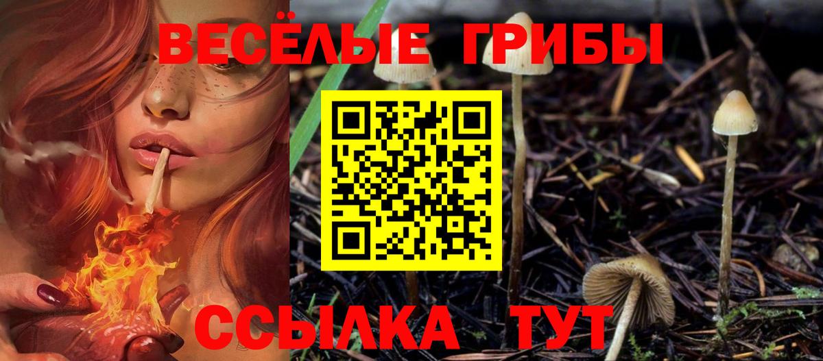 Новый Уренгой  Галлюциногенные грибы мицелий  Вход с VPN 