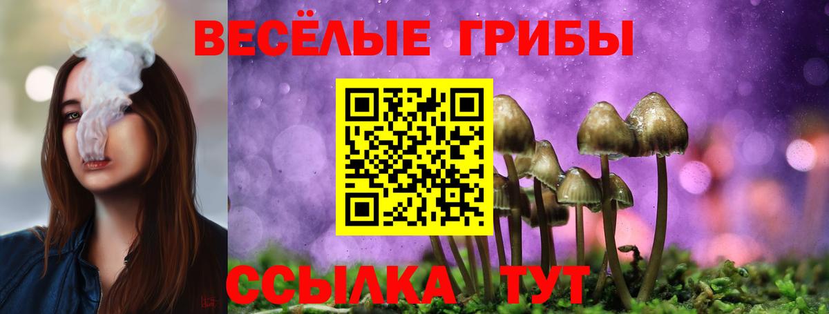 Галлюциногенные грибы прущие грибы Новый Уренгой
